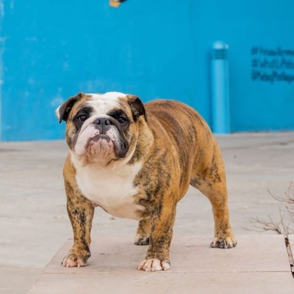 Meet your Posher, Jessica - Picture 1 of 1